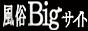 風俗Bigサイト